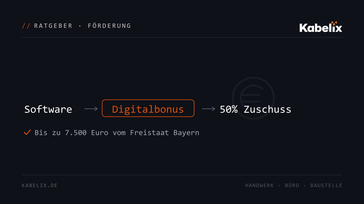 Diagramm: Software über den Digitalbonus Bayern mit 50 Prozent Zuschuss fördern - Kabelix